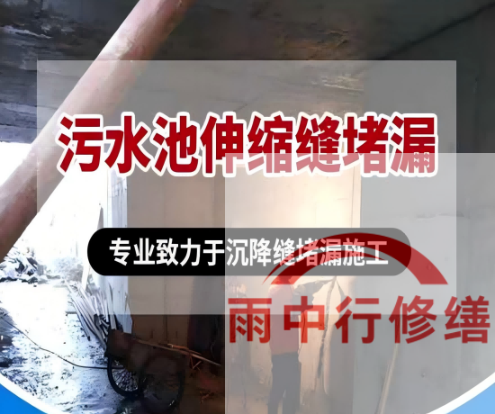 厦门2026年高分子防水卷材成高端市场主流，光伏屋面需求爆发